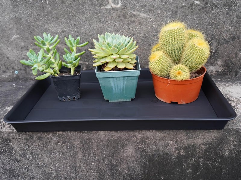 VUWEZ 4 Pack Plant Saucer Tray Rectangular, Plant Saucers for Indoors, Heavy Sturdy Plastic Plant Drainage Trays, Plant Drip Trays for Pots, Seed Starter Growing Tray (11 x 9 inch, Black) - Image 5